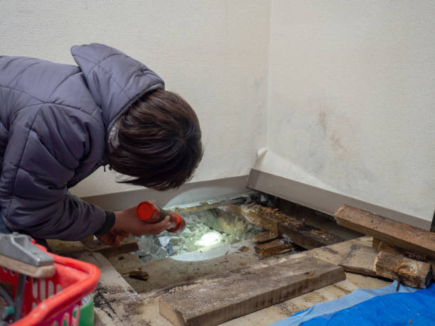 Best Real Estate Mold Inspection  in Muncie, IN