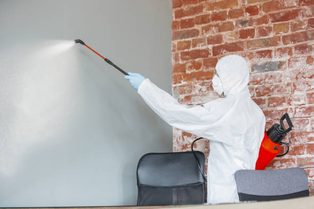  Muncie, IN Mold Removal Pros