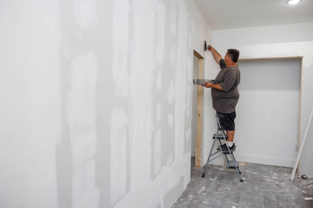 Best Mold Odor Removal Services  in Muncie, IN