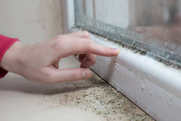 Best Indoor Air Quality Assessment  in Muncie, IN