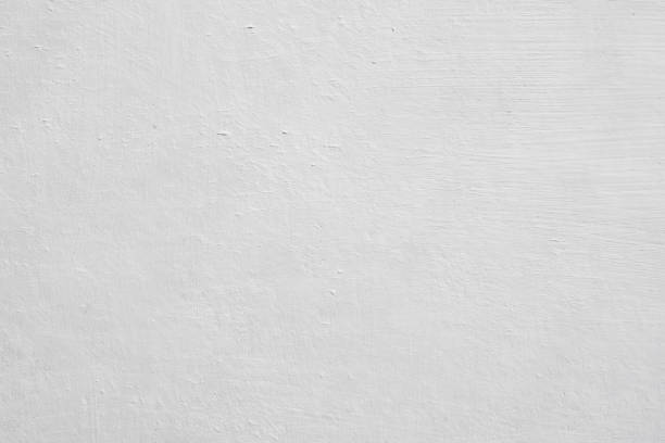 Best Basement Mold Removal  in Muncie, IN