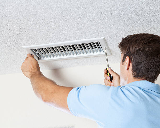 Best Mold-Related Health Consultation  in Muncie, IN